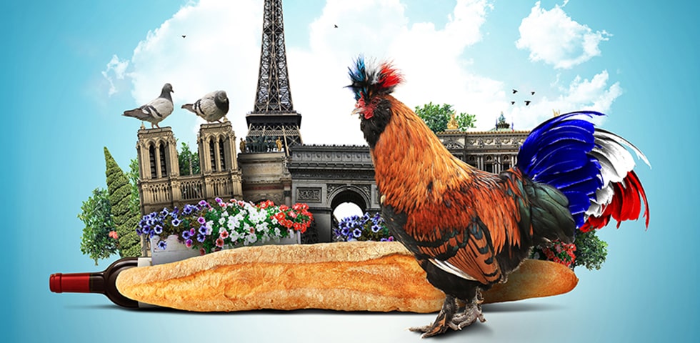 symbôle représentant la France : Coq, tour Eiffel, etc.